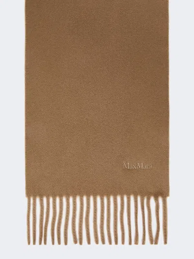 Max Mara Wool Scarf With Embroidery In Brown