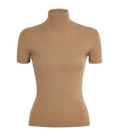 Max Mara Wool Short-sleeve Sweater In Brown