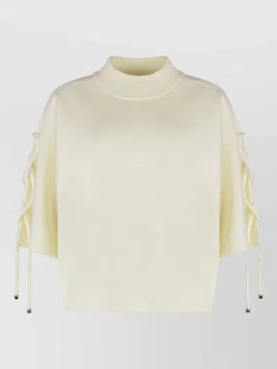 Max Mara Sweater With High Collar In Virgin Wool In Neutral