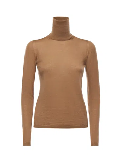 Max Mara Wool Turtleneck In Brown
