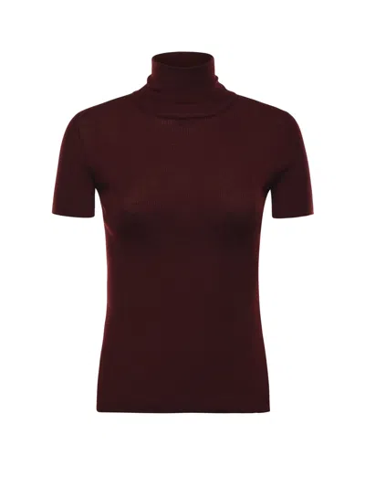 Max Mara Wool Turtleneck In Burgundy