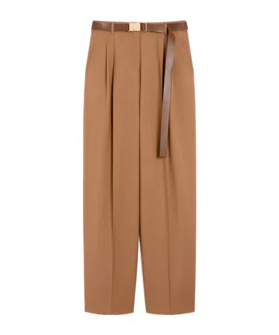 Max Mara Woollen Cloth Trousers In Brown