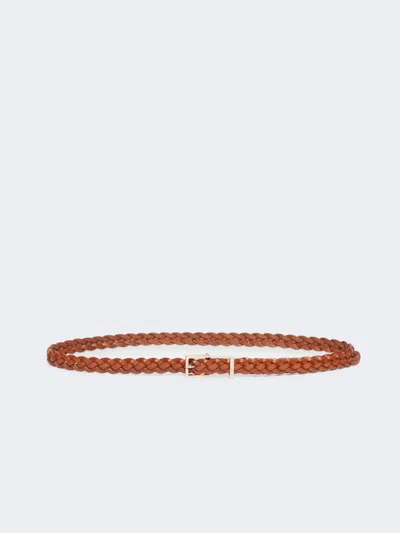 Max Mara Woven Leather Belt In Brown