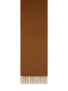 Max Mara Wsdalia Cashmere Stole With Brown Monogram Embroidery In Brown