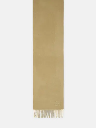 Max Mara 'wsdalia' Green Cashmere Stole In Brown