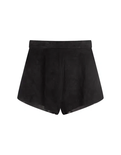 Max Mara Cedro Suede Mini Shorts In Black