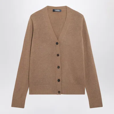 Max Mara's Max Mara`s Wool V-neck Cardigan In Brown