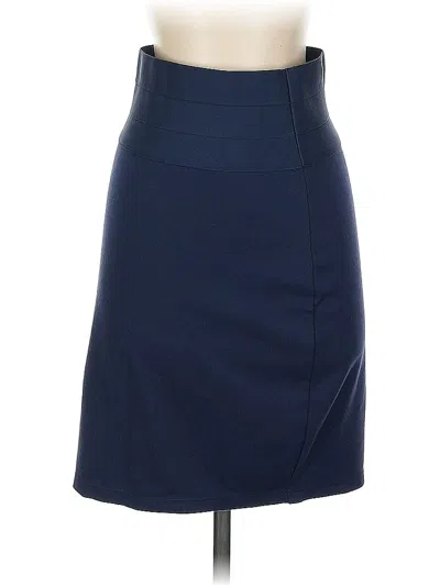 Pre-owned Max Studio Casual Skirt In Blue