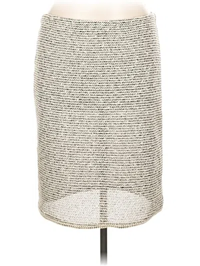 Pre-owned Max Studio Casual Skirt In Silver