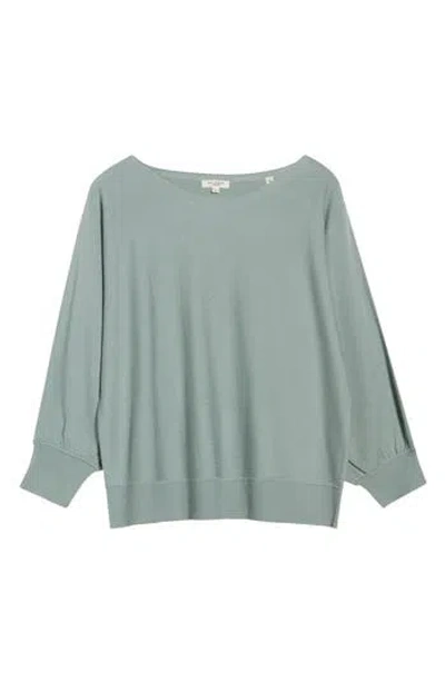 Max Studio Dolman Elbow Sleeve Sweater In Blue