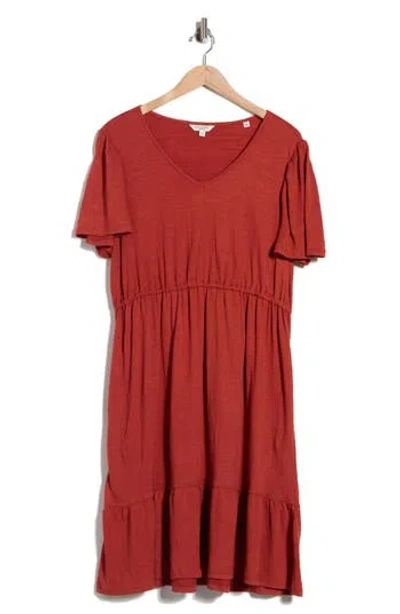 Max Studio Flutter Sleeve Knit Dress In Red