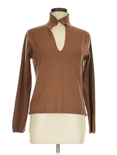 Pre-owned Max Studio Long Sleeve Turtleneck In Brown