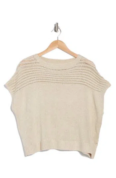 Max Studio Open Weave Dolman Tank In Oyster