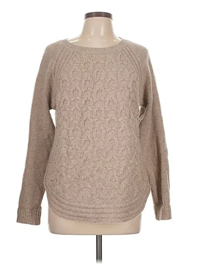 Pre-owned Max Studio Pullover Sweater In Brown