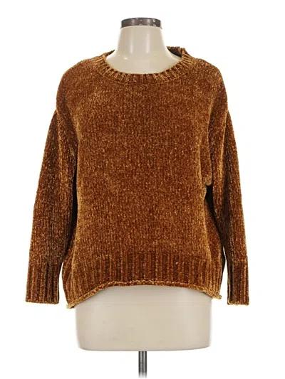 Pre-owned Max Studio Pullover Sweater In Brown