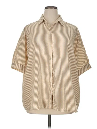 Pre-owned Max Studio Short Sleeve Button Down Shirt In Brown