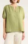 Max Studio Short Sleeve Split Neck Blouse In Green