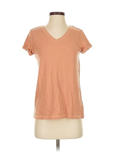 Pre-owned Max Studio Short Sleeve T-shirt In Brown