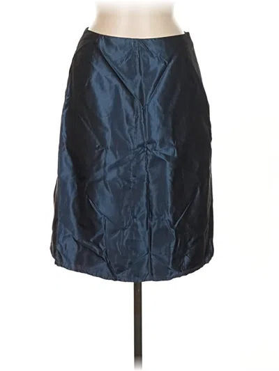 Pre-owned Max Studio Silk Skirt In Blue