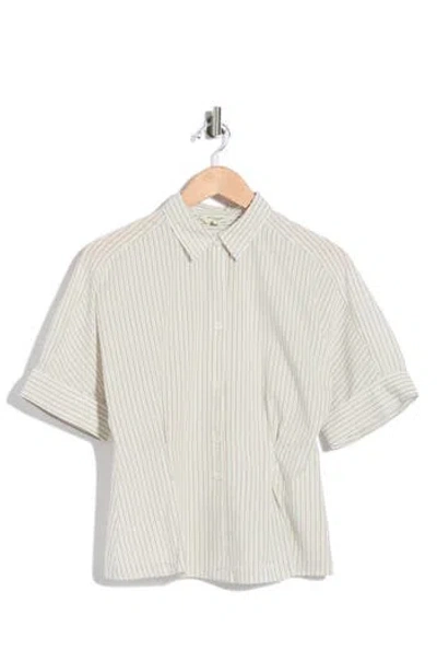 Max Studio Stripe Button-up Shirt