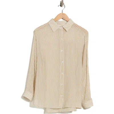 Max Studio Stripe Cotton Button-up Shirt In Bronze Stripe