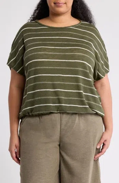 Max Studio Stripe Dolman Sleeve Bubble Hem Top In Green
