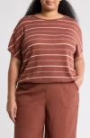 Max Studio Stripe Dolman Sleeve Bubble Hem Top In Brown