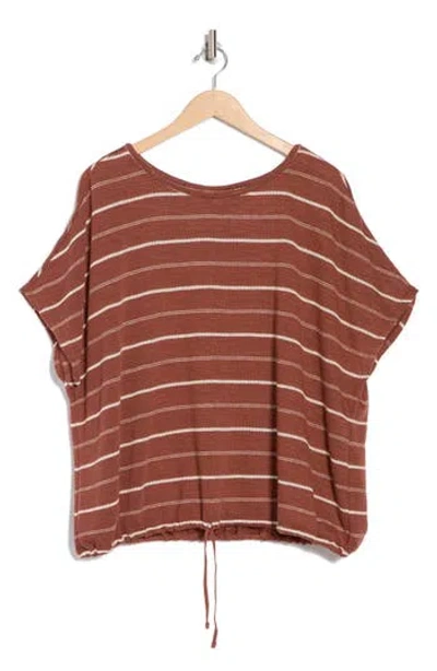 Max Studio Stripe Dolman Sleeve Bubble Hem Top In Chestnut/oyster