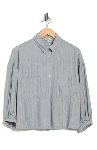 Max Studio Stripe Popover Top