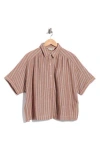 Max Studio Textured Button-up Shirt In Mocha Stripe