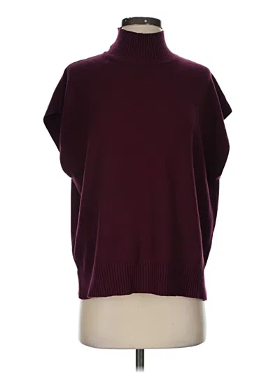Pre-owned Max Studio Turtleneck Sweater In Burgundy