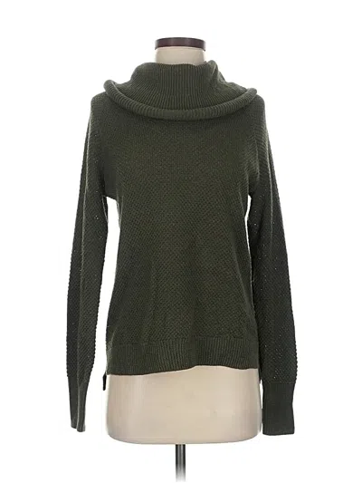 Pre-owned Max Studio Turtleneck Sweater In Green