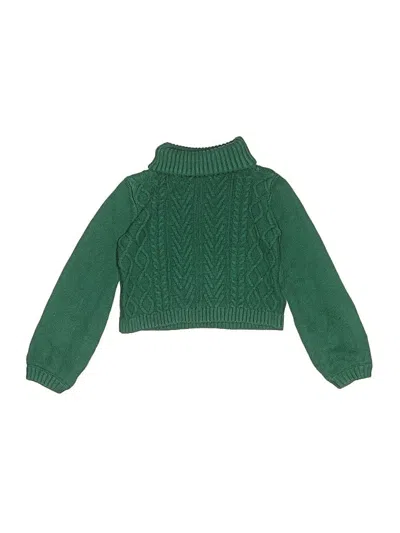 Pre-owned Max Studio Kids' Turtleneck Sweater In Green
