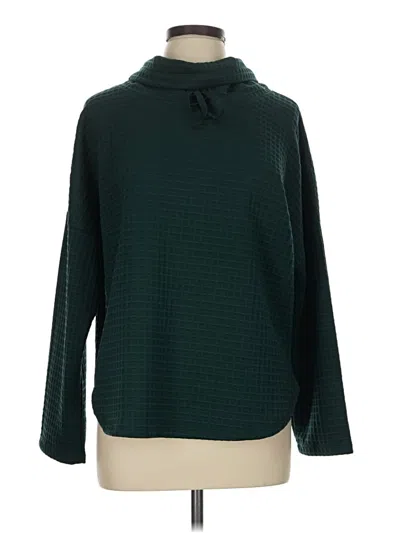 Max Studio Turtleneck Sweater In Green