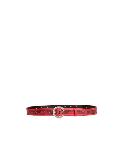 Maxco. Casual Snake Print Belt In Red