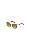 Maxco. Full Frame Sunglasses In Brown
