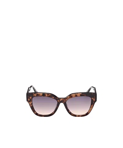 Maxco. Full Frame Sunglasses In Brown