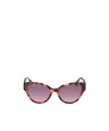 Maxco. Full Frame Sunglasses In Brown