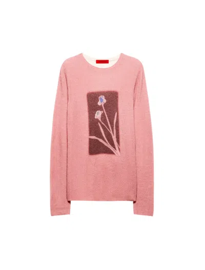 Maxco. Long-sleeved Pullover In Pink