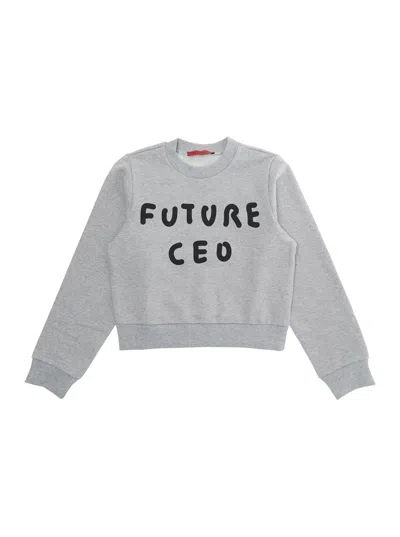 Maxco. Babies' Long-sleeved Sweatshirt In Gray
