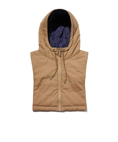 Maxco. Reversible Hooded Collar In Brown