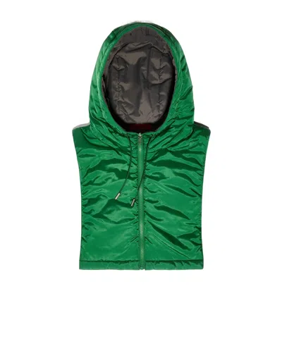Maxco. Reversible Hooded Collar In Green