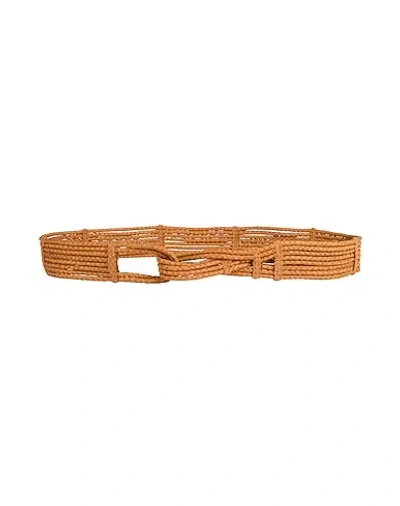 Maxco. Simple Solid Color Belt In Brown