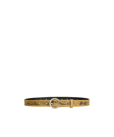 Maxco. Snake-pattern Leather Belt In Multicolor