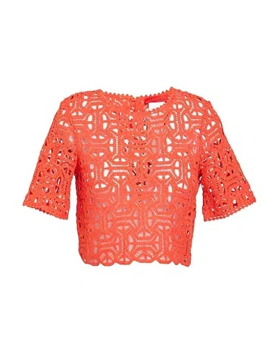 Maxco. Solid Color Lace Short-sleeve Crop Top In Orange