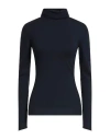 Maxco. Solid Color Turtleneck Knit Sweater In Black