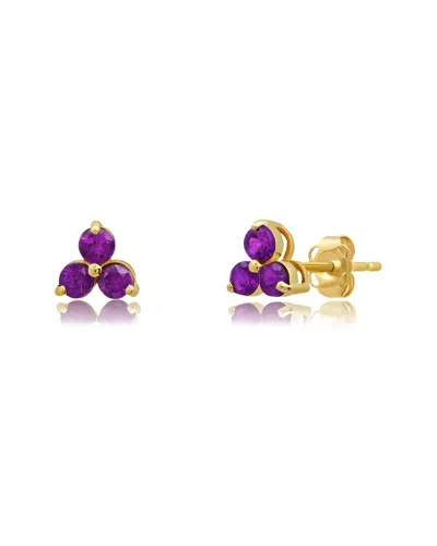 Maxcolor 14k 0.25 Ct. Tw. Amethyst Studs In Purple