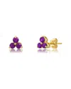 Maxcolor 14k 0.25 Ct. Tw. Amethyst Studs