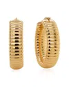 Maxcolor 14k Resin-filled Earrings
