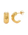 Maxcolor 14k Resin-filled Earrings